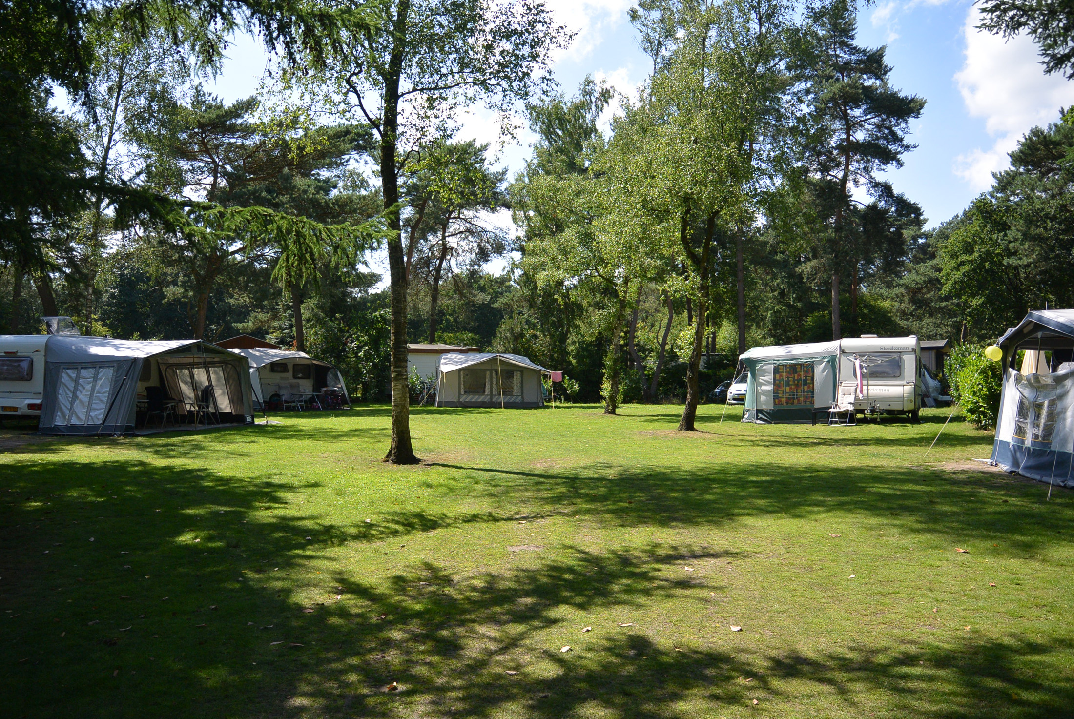 Camping Hoge Veluwe